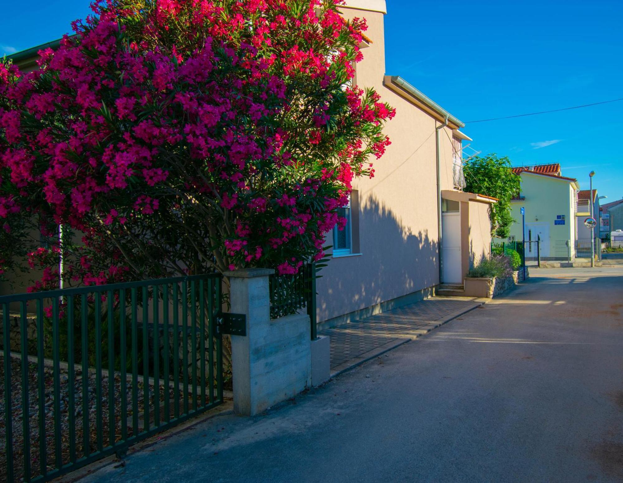 Apartments Anita Frane Водице Экстерьер фото