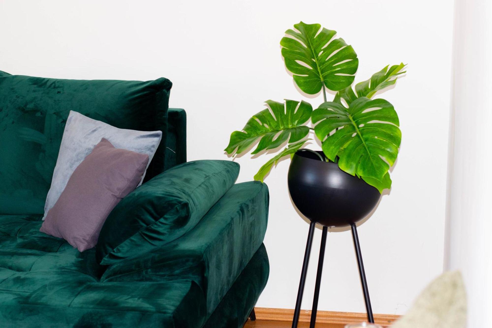 Apartments Anita Frane Водице Экстерьер фото