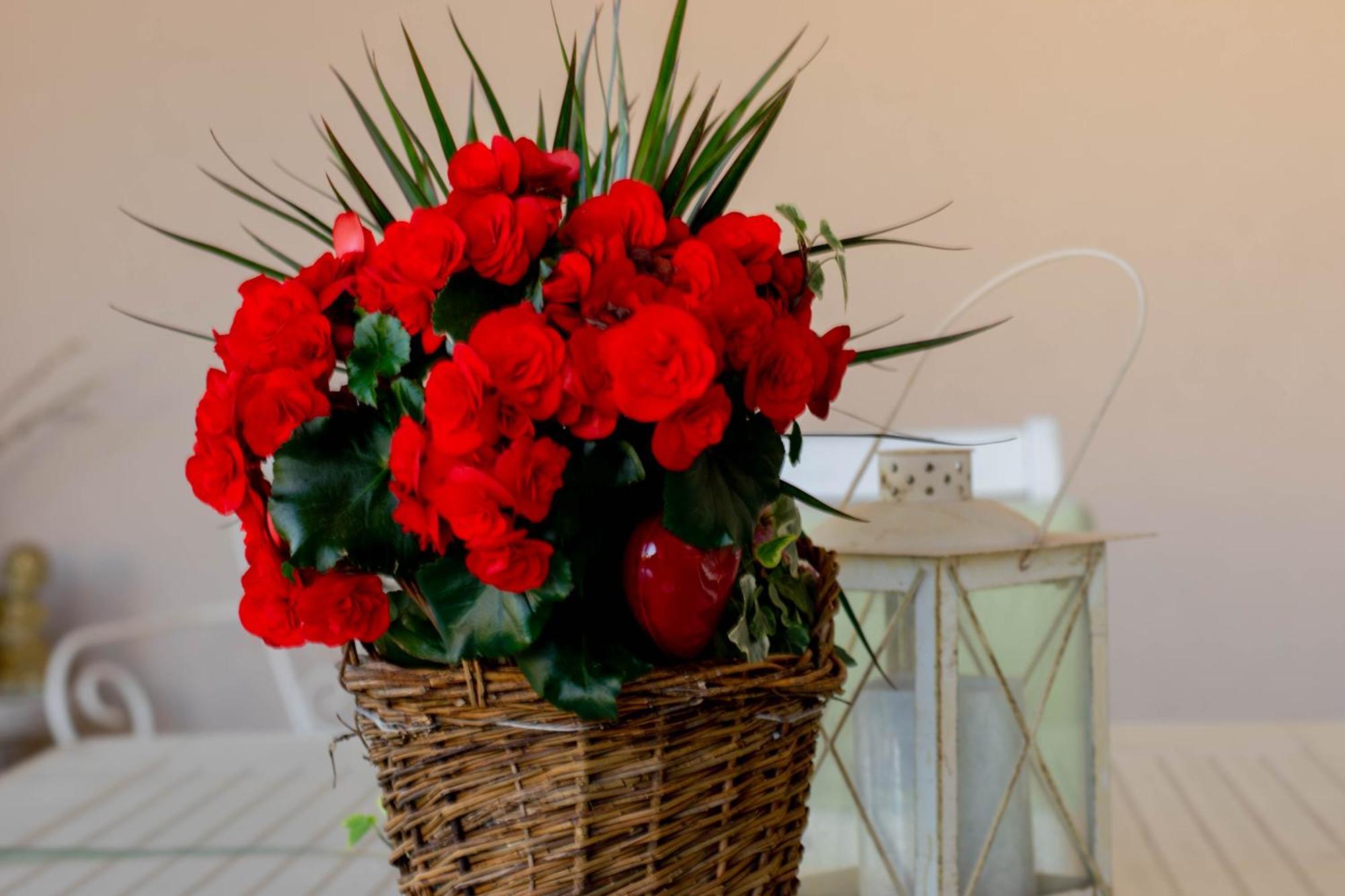 Apartments Anita Frane Водице Экстерьер фото
